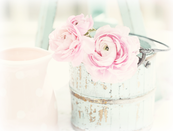 Нежный цветок