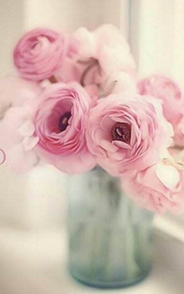 Нежный цветок