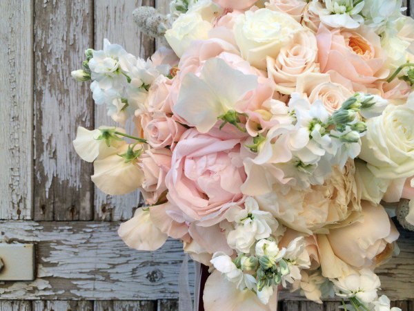 Красивые розы пастельных тонов букеты