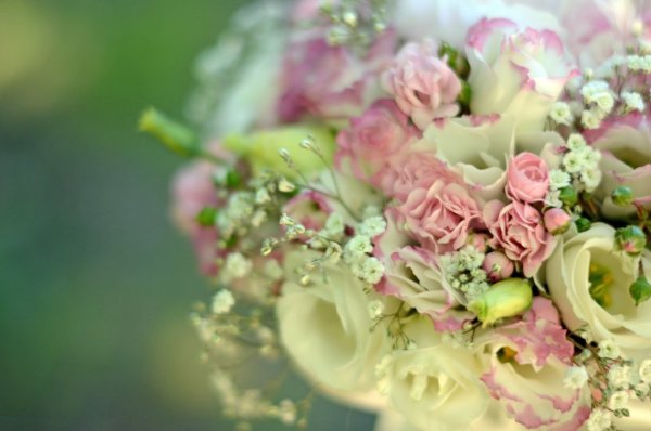 Нюдовые пионы