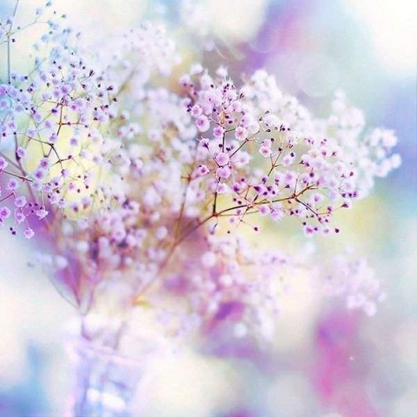 Букет в пастельных тонах