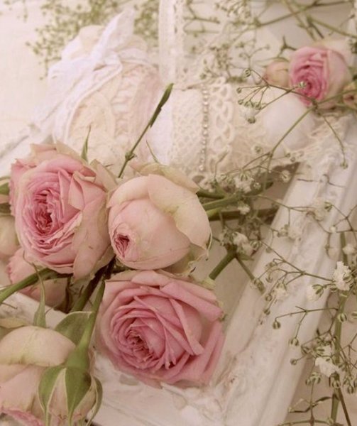 Нежные цвета