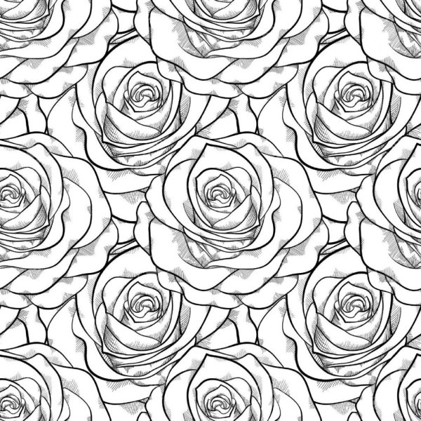 Эскиз маленькой розы