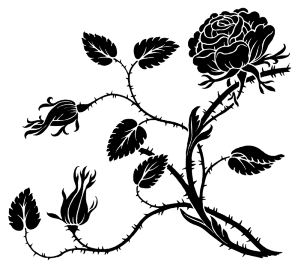 Черно белые узоры