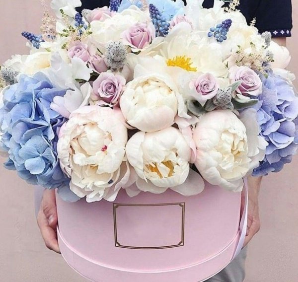 Пионы в коробке