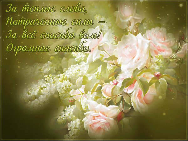 Пожелания нежности