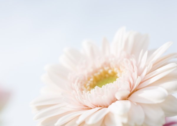 Спасибо мама