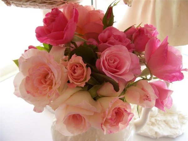 Нежные мелкие цветы