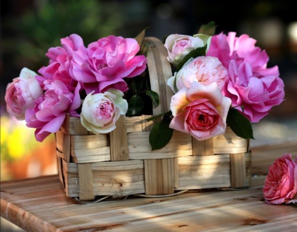 Нежная открытка спасибо