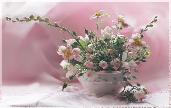 Нежная открытка спасибо