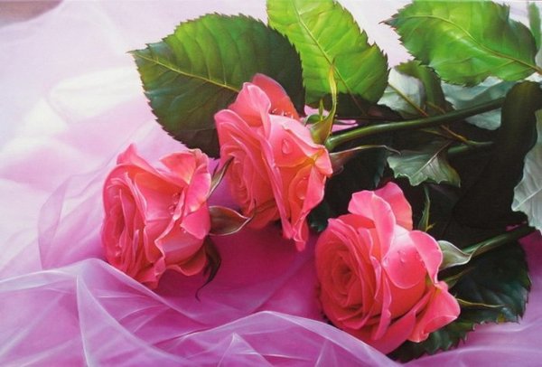 Нежные розы