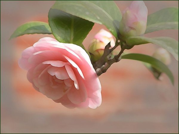 Спасибо за поздравления