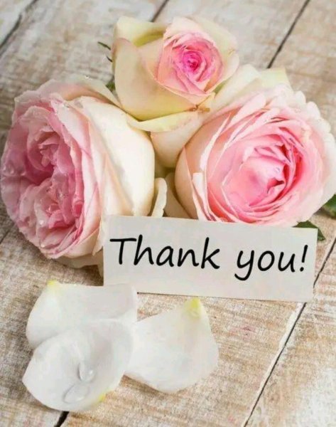 Спасибо розовые розы
