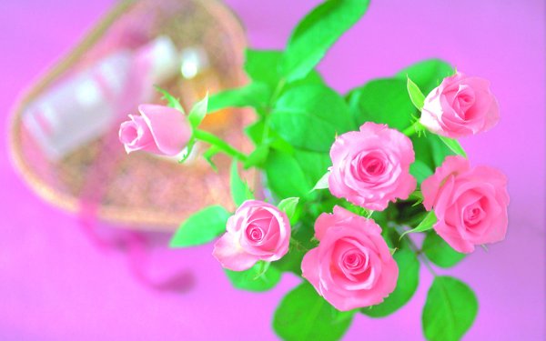 Цветы красивой женщине с надписью