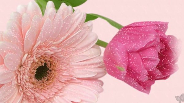 Весенние цветы с пожеланиями