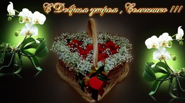 С добрым утром цветы