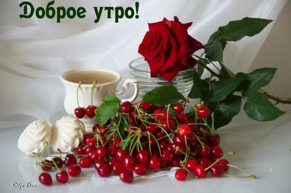 Доброе утро цветы