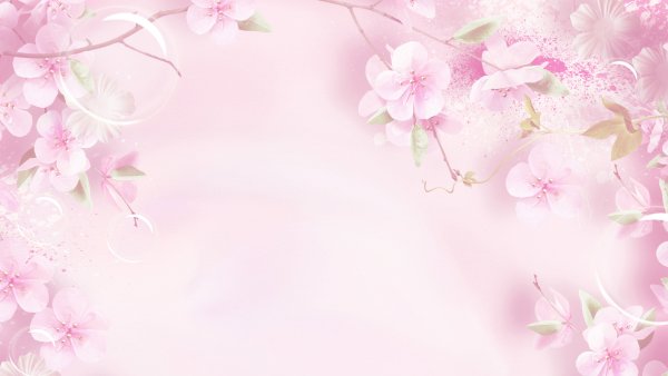 Цветочные фоны для фотошопа красивые