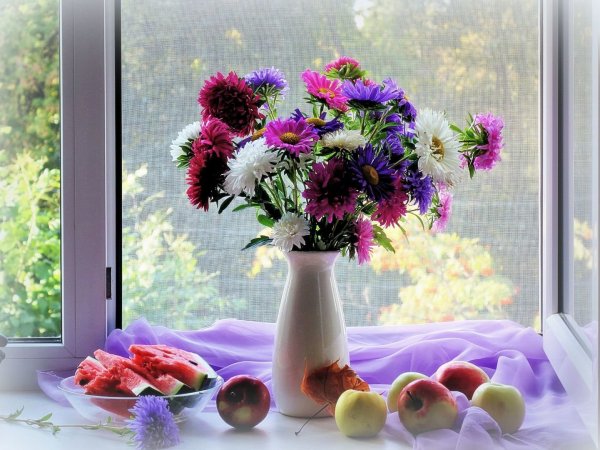 Осенние цветы на окне