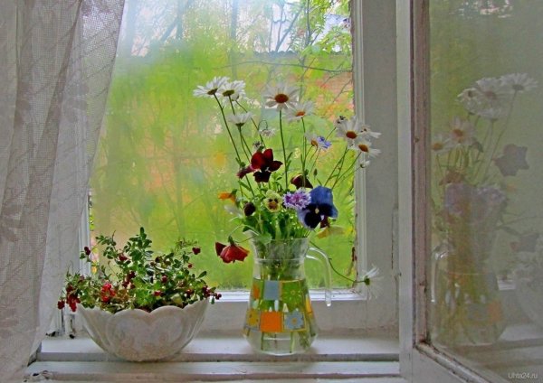 Ваза на подоконнике