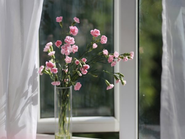 Весенние цветы на подоконнике