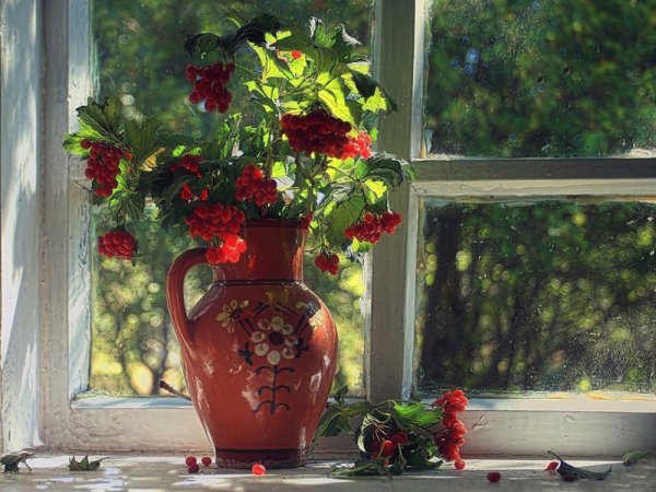 Красивое окно в цветах