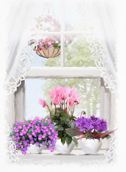 Летние цветы на окне