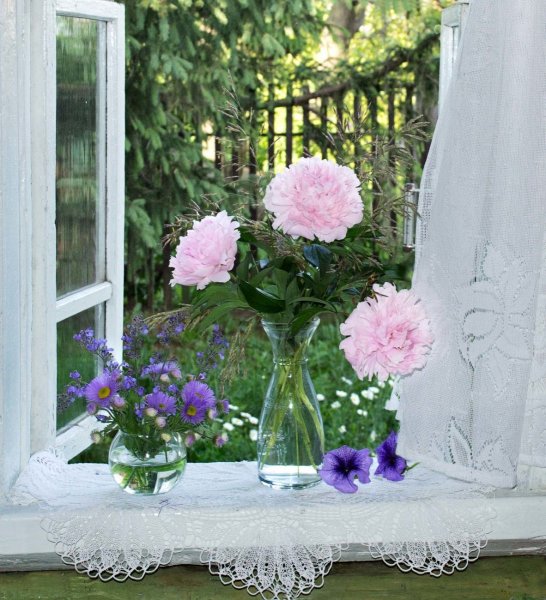 Цветы в вазе на окне