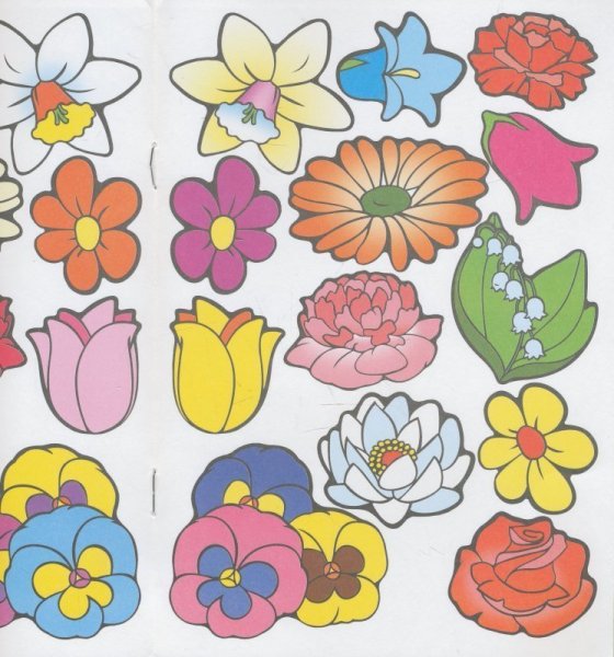 Цветочки цветные