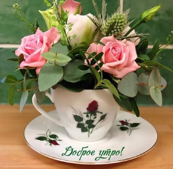 Доброе утро цветы