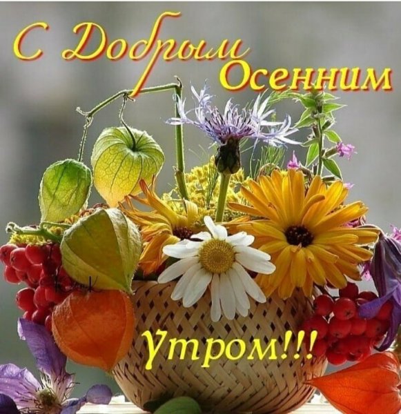 Поздравления с добрым весенним утром