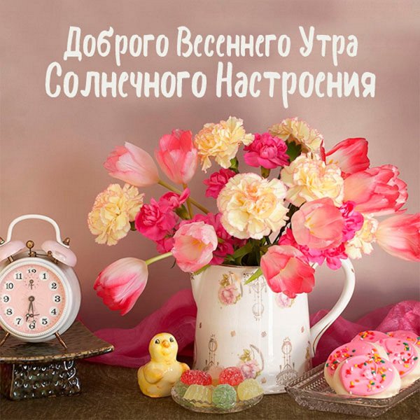 Доброе утро чудесного дня