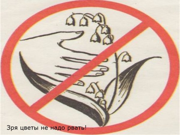Знак нельзя рвать растения
