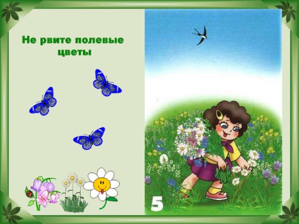 Не рвите полевые цветы