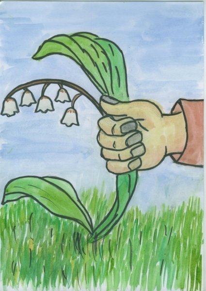 Не рвите цветущие растения