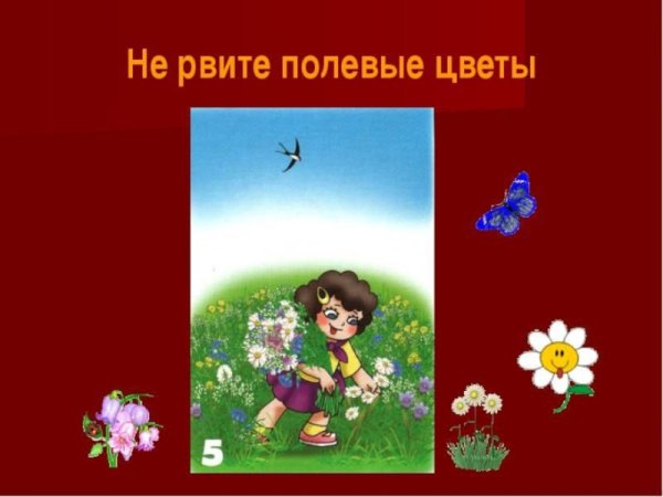 Знак не рвать цветы на лугу