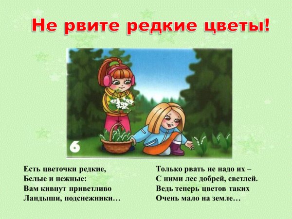 Знак запрещающий рвать цветы