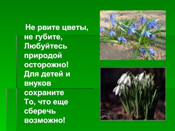 Природоохранные знаки для детей раскраски