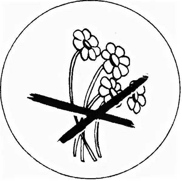 Нельзя рвать цветы