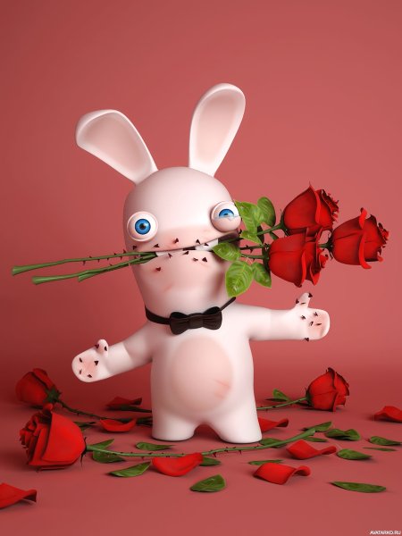 Милый белый заяц