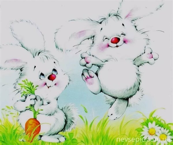 Красивые кролики