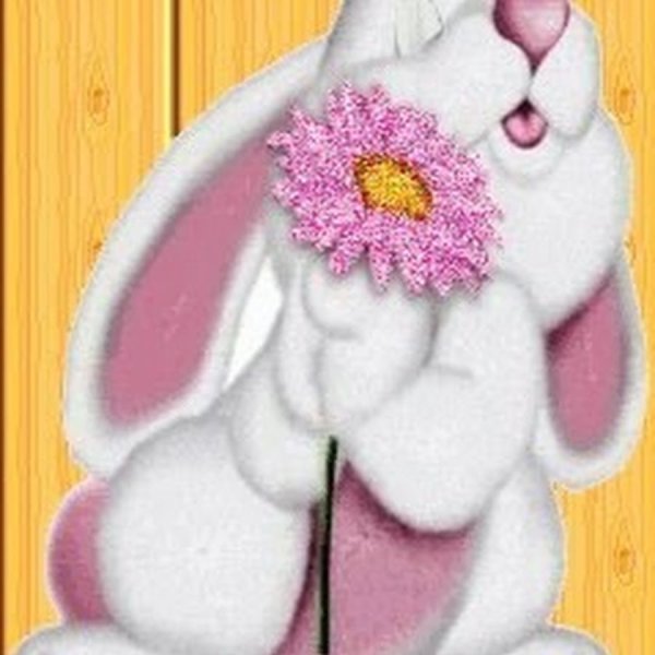 Милые домашние животные