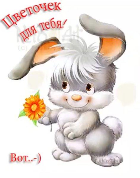 Курящий заяц