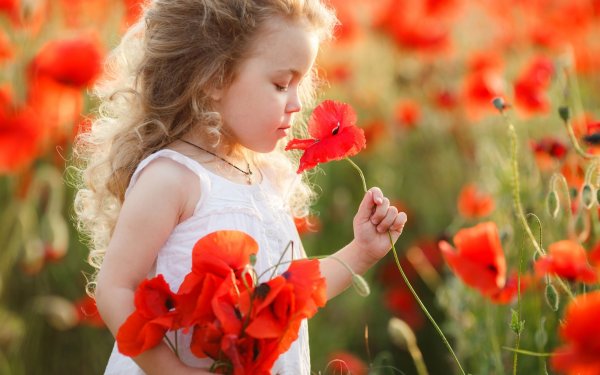 Художница Екатерина бабок феи