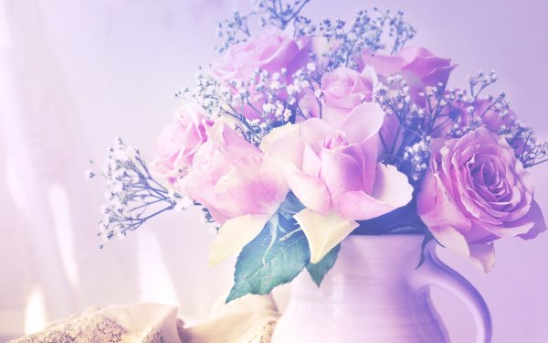 Нежные розово сиреневые цветы