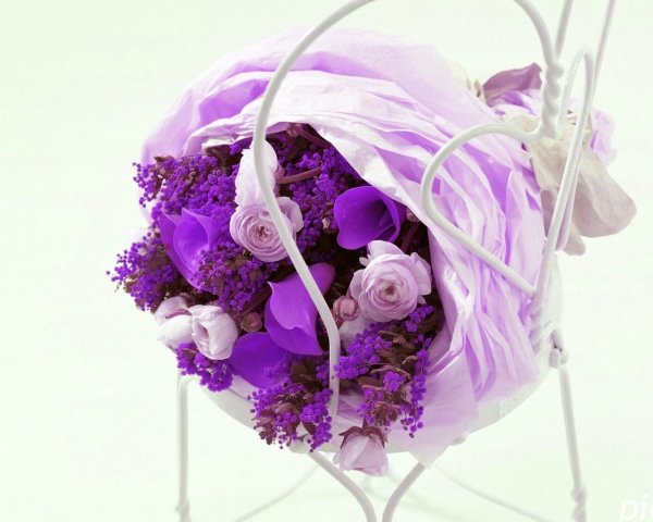 Стильные цветы