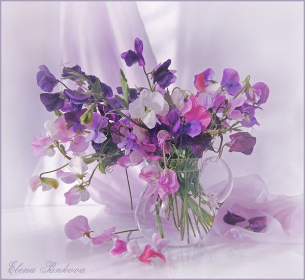 Открытка с сиреневыми цветами