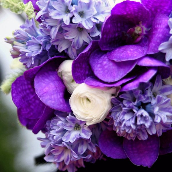 Шикарный фиолетовый букет