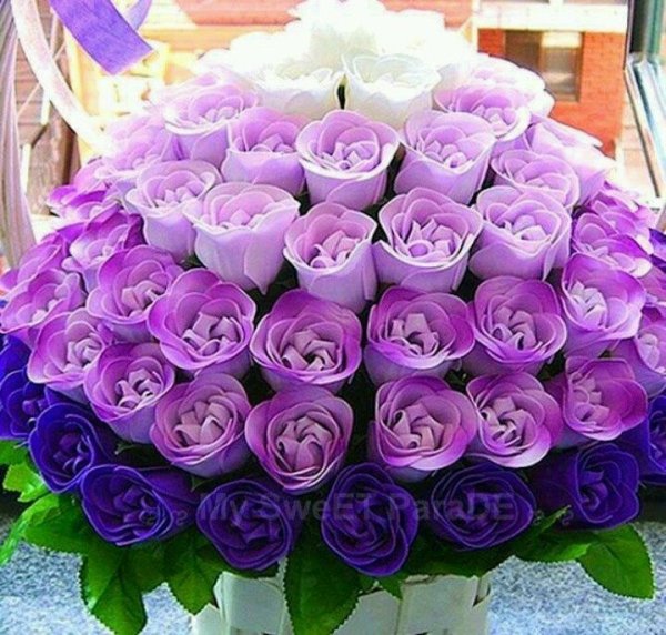 Фиолетовые розы букет