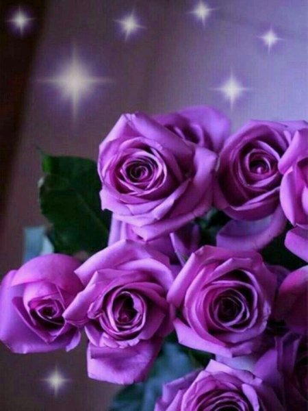 Сиреневые розы с пожеланиями